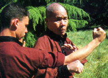 Vo-Su Nguyen Duc Moc